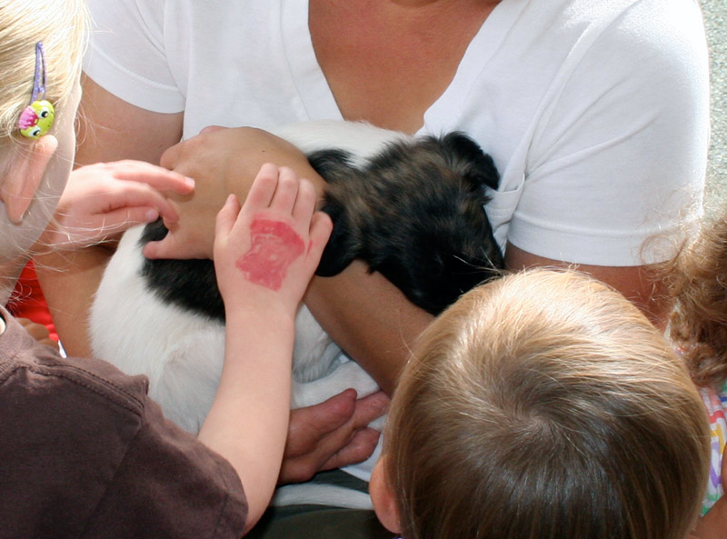 Surf Spots - Boy 2 Being Adored